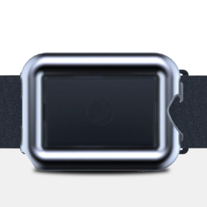 THE VERSE BELT